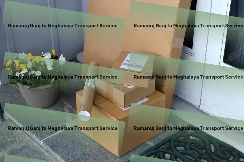 Ramanuj Ganj to Meghalaya Transport Road freight solutions