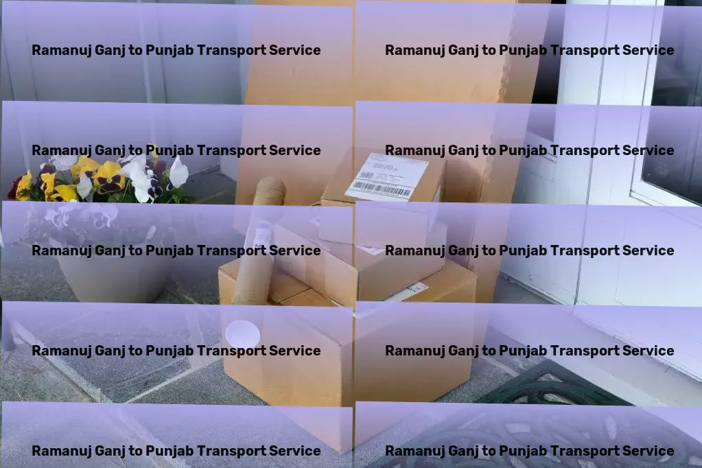 Ramanuj Ganj to Punjab Transport Smart solutions for your comprehensive transportation needs in India. - Specialized package delivery