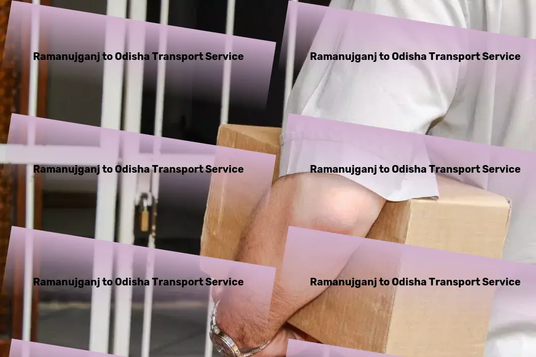 Ramanujganj to Odisha Transport Experience logistic perfection with our specialized Indian services. - Nationwide logistics