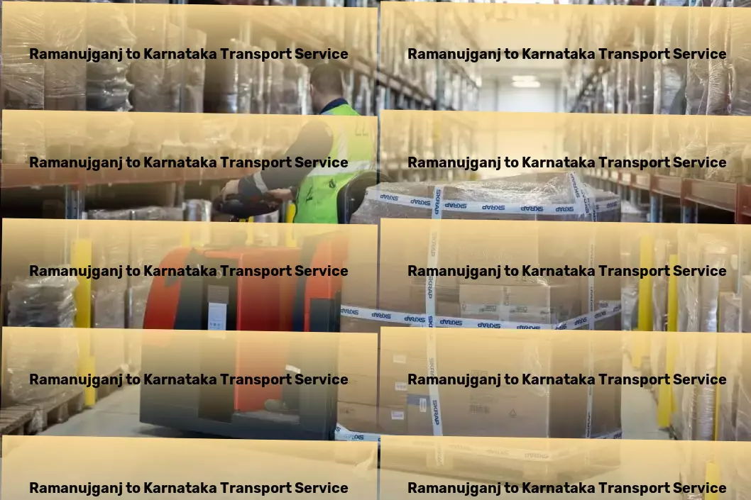 Ramanujganj to Karnataka Transport City-to-city goods logistics