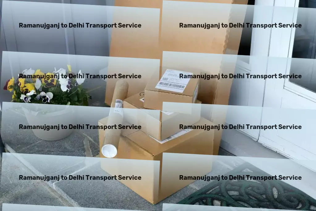 Ramanujganj to Delhi Transport Regional parcel services