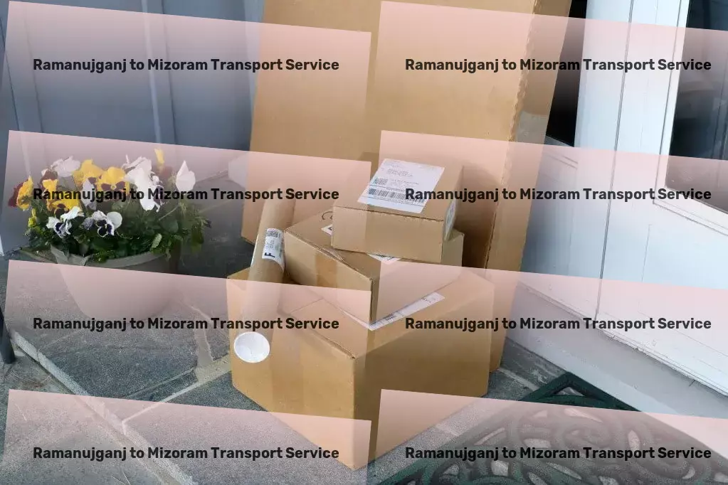 Ramanujganj to Mizoram Transport Efficient shipping solutions