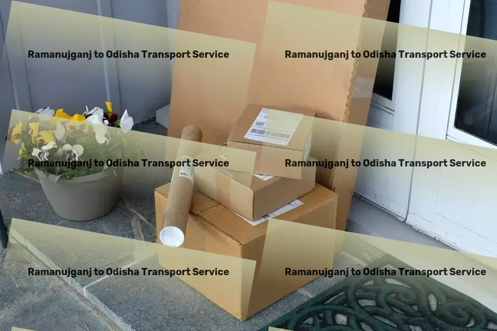 Ramanujganj to Odisha Transport Express parcel logistics