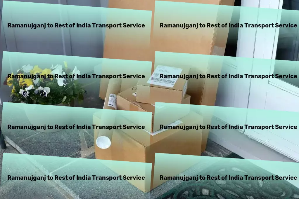 Ramanujganj to Rest Of India Transport Express movers services