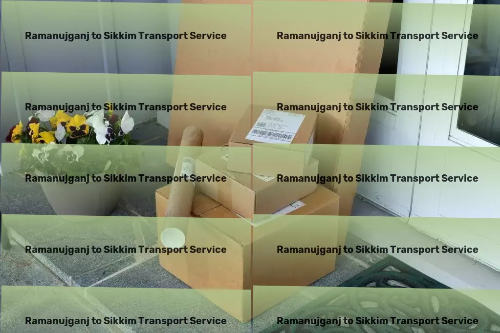 Ramanujganj to Sikkim Transport Fast transport solutions