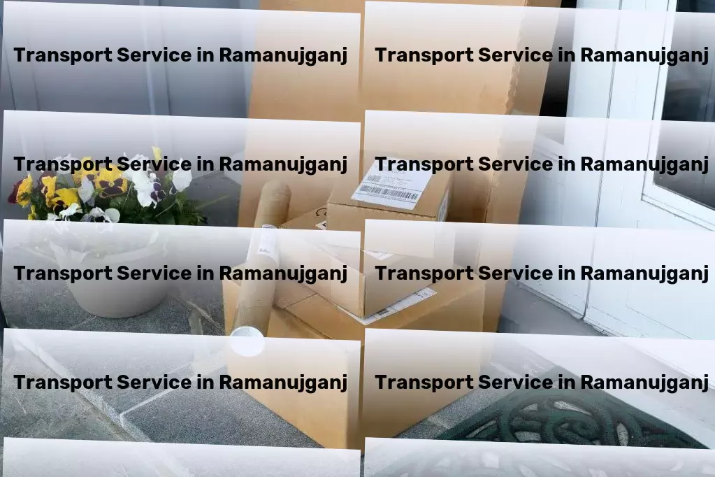 Packers And Movers in Ramanujganj, Chhattisgarh (CG) Long-haul goods services