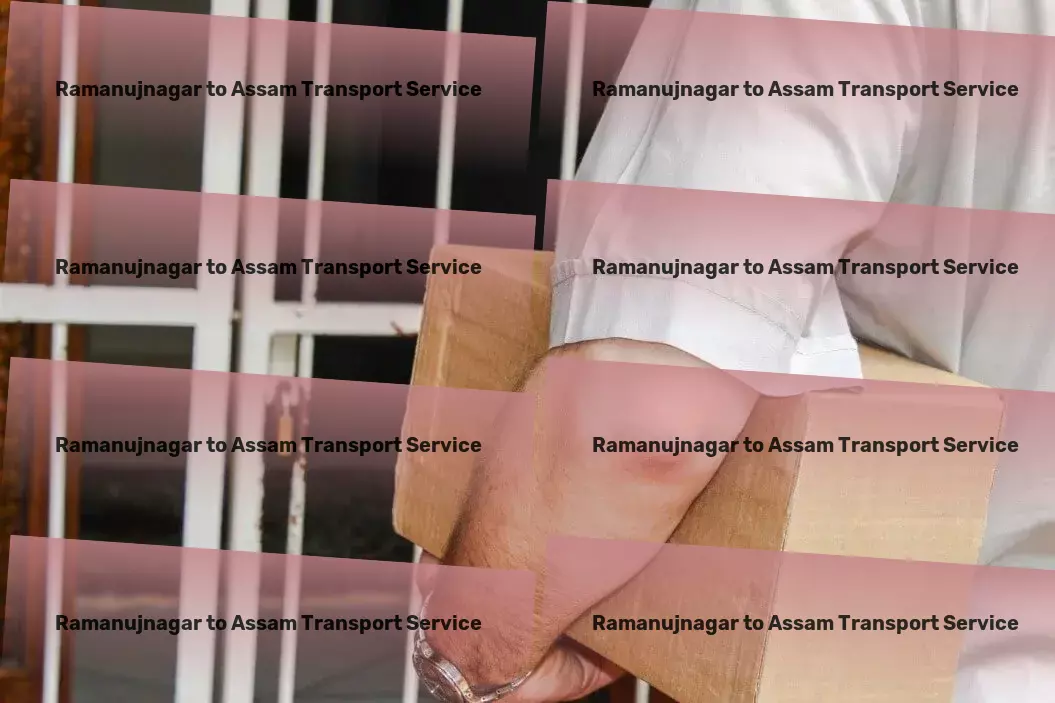 Ramanujnagar to Assam Transport Efficient transport solutions