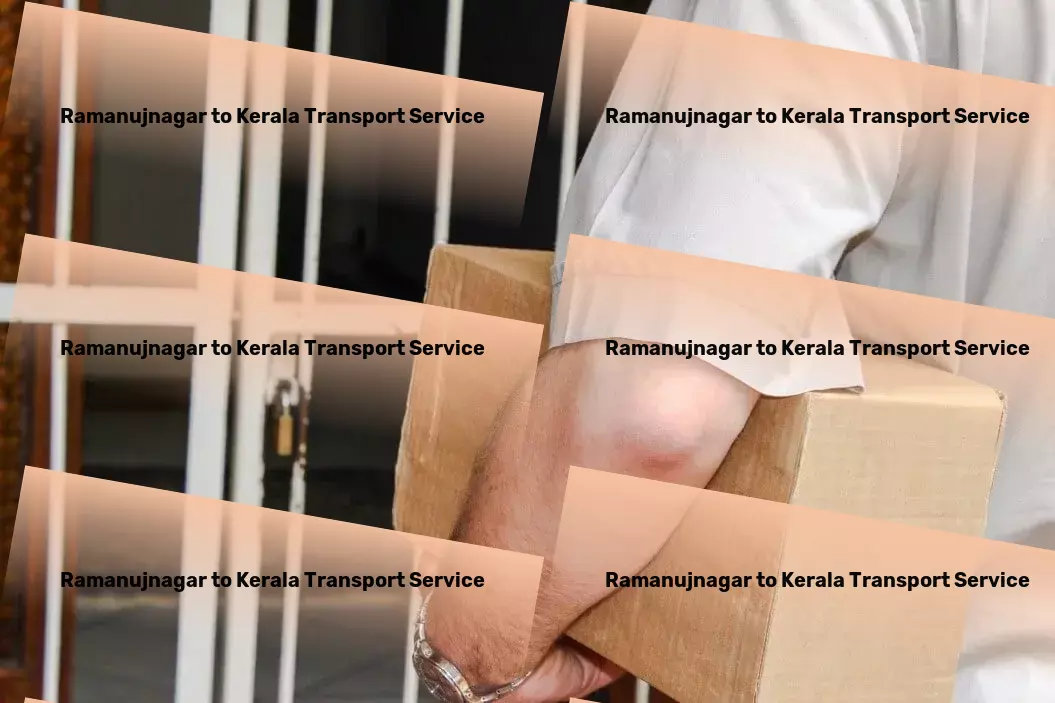 Ramanujnagar to Kerala Transport Quick transport solutions