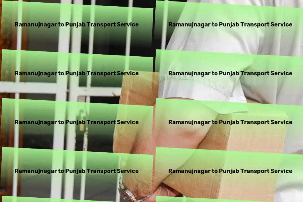 Ramanujnagar to Punjab Transport The cornerstone of efficient logistics in India - That's us! - Custom freight forwarding