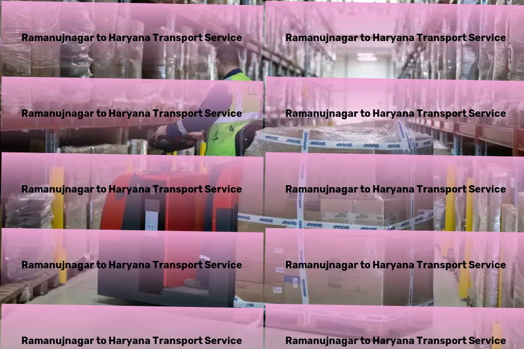 Ramanujnagar to Haryana Transport Your trusted ally in revolutionizing Indian logistics. - Local courier services