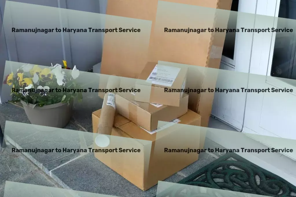 Ramanujnagar to Haryana Transport Express logistics coordination