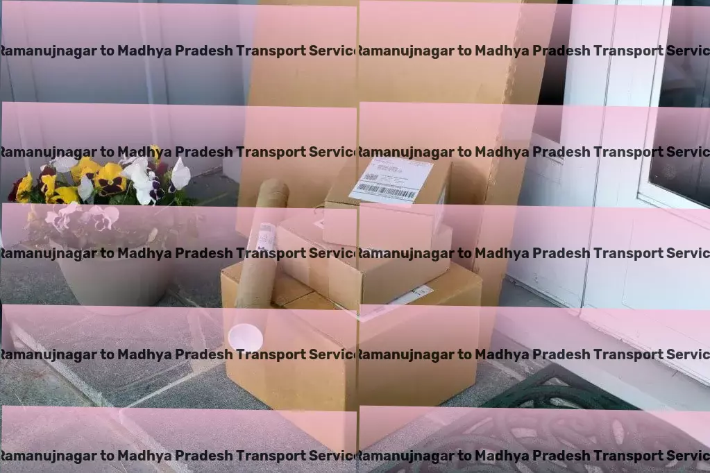 Ramanujnagar to Madhya Pradesh Transport Advanced package delivery