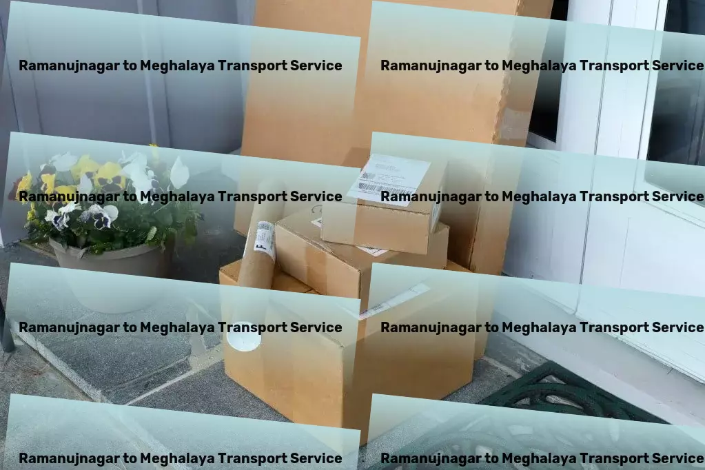 Ramanujnagar to Meghalaya Transport Professional road freight services