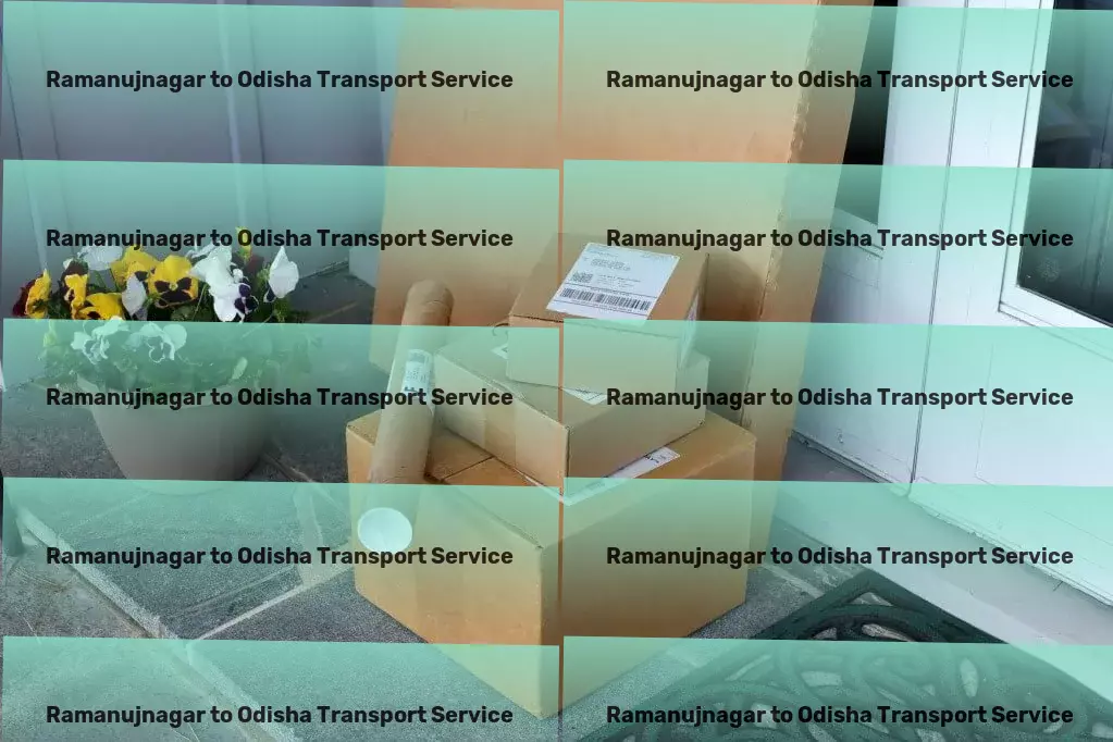 Ramanujnagar to Odisha Transport Pioneering innovative routes for efficient goods delivery in India. - Fast freight forwarding