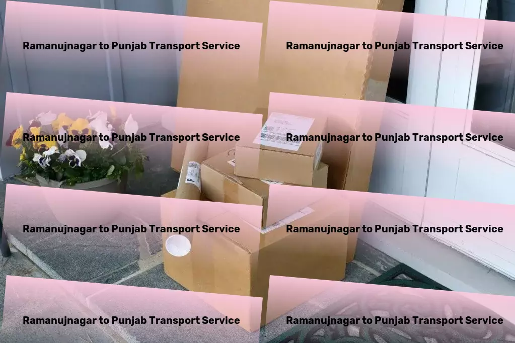 Ramanujnagar to Punjab Transport Full truckload freight