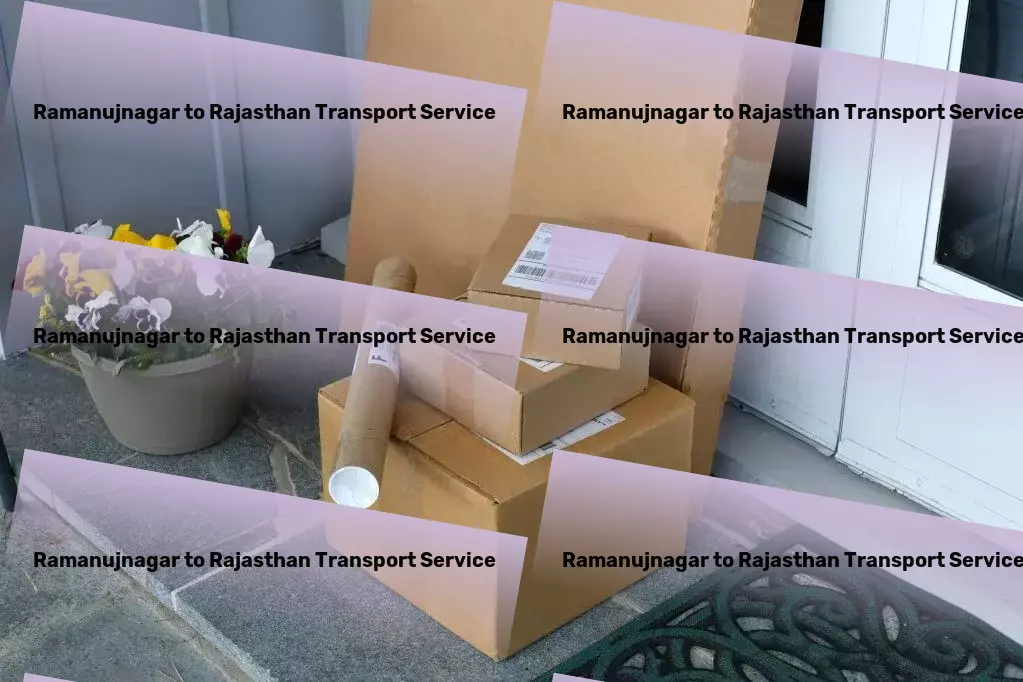 Ramanujnagar to Rajasthan Transport Nationwide package dispatch